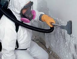 Best Attic Mold Removal  in Fremont, CA